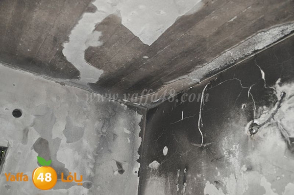 fire lud 1214 (22).JPG